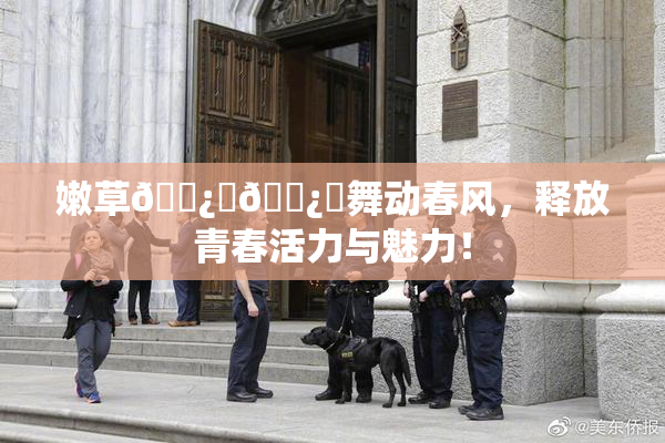 嫩草🌿‌🌿‌舞动春风，释放青春活力与魅力！