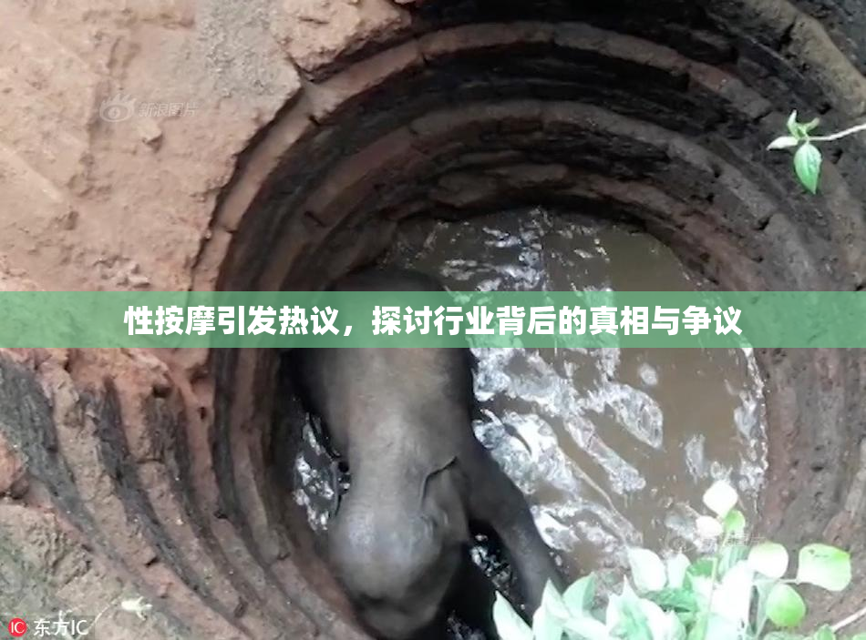 性按摩引发热议，探讨行业背后的真相与争议