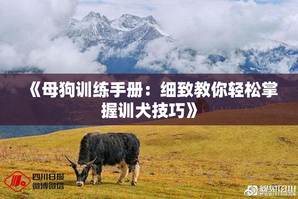 《母狗训练手册：细致教你轻松掌握训犬技巧》
