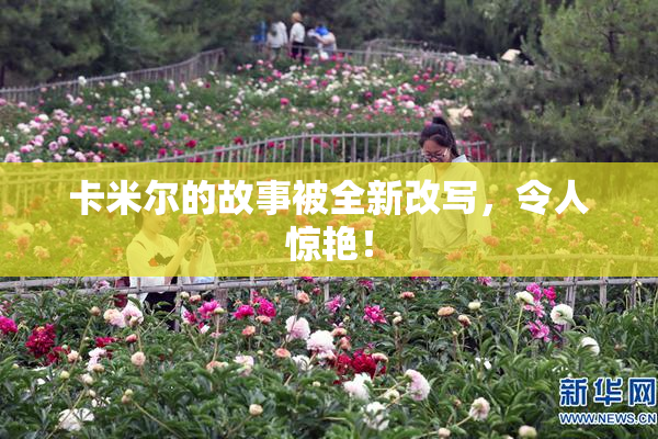 卡米尔的故事被全新改写，令人惊艳！