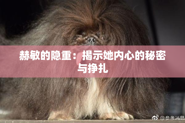 赫敏的隐重：揭示她内心的秘密与挣扎