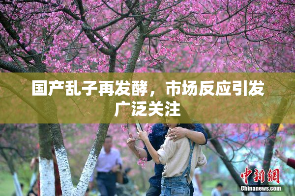 国产乱子再发酵，市场反应引发广泛关注