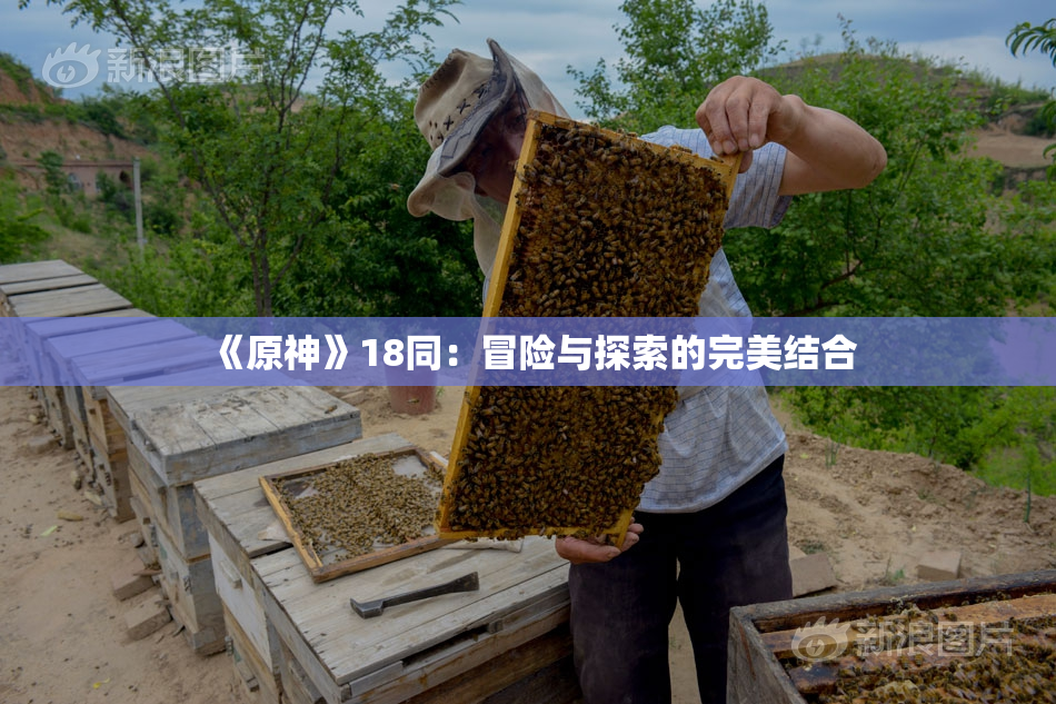 《原神》18同：冒险与探索的完美结合