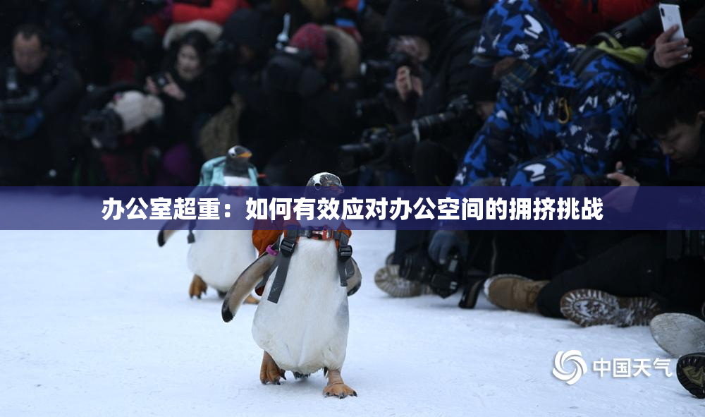 办公室超重：如何有效应对办公空间的拥挤挑战