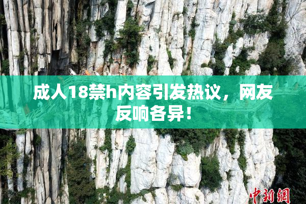 成人18禁h内容引发热议，网友反响各异！