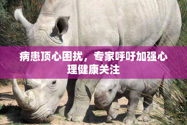 病患顶心困扰，专家呼吁加强心理健康关注