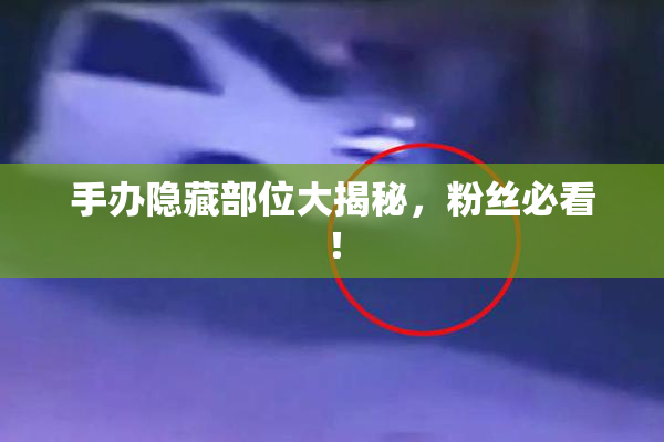 手办隐藏部位大揭秘，粉丝必看！