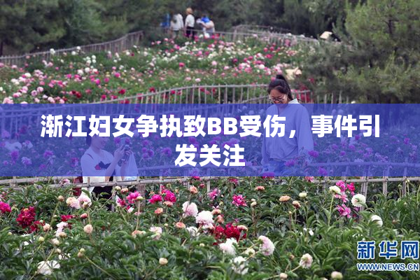 渐江妇女争执致BB受伤，事件引发关注