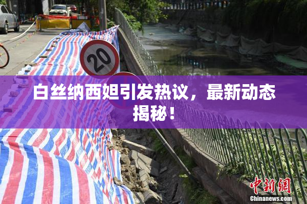 白丝纳西妲引发热议，最新动态揭秘！