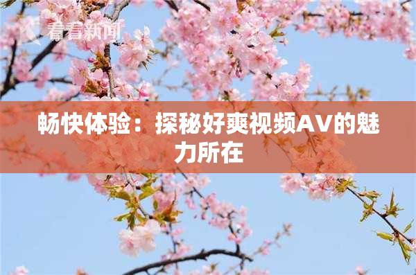 畅快体验：探秘好爽视频AV的魅力所在