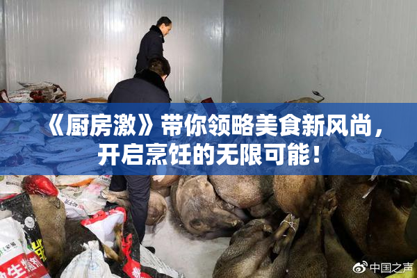 《厨房激》带你领略美食新风尚，开启烹饪的无限可能！