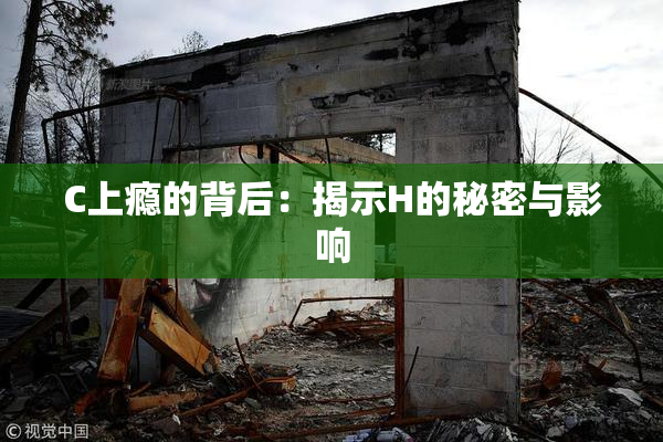 C上瘾的背后：揭示H的秘密与影响
