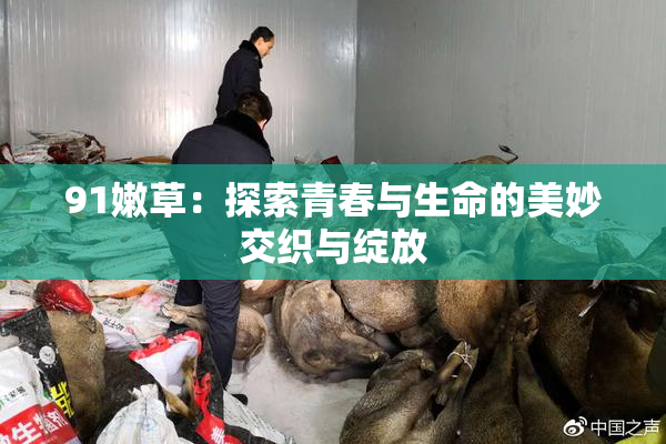 91嫩草：探索青春与生命的美妙交织与绽放