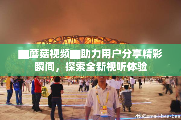 ▇蘑菇视频▇助力用户分享精彩瞬间，探索全新视听体验