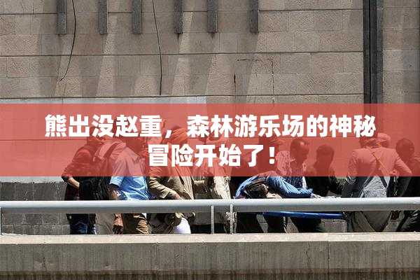 熊出没赵重，森林游乐场的神秘冒险开始了！