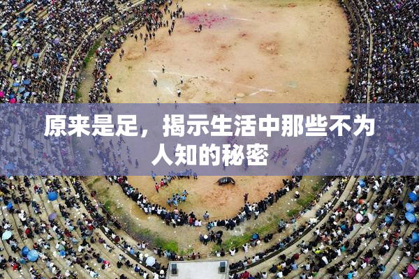 原来是足，揭示生活中那些不为人知的秘密