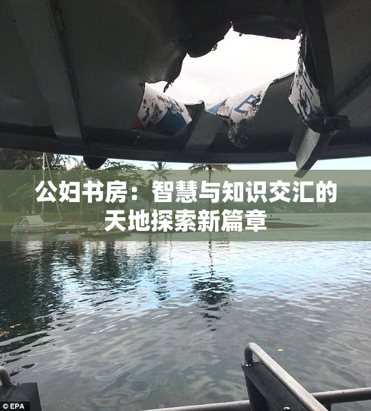 公妇书房：智慧与知识交汇的天地探索新篇章