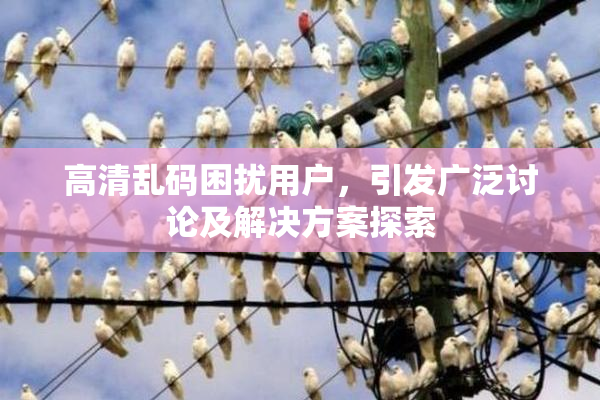 高清乱码困扰用户，引发广泛讨论及解决方案探索