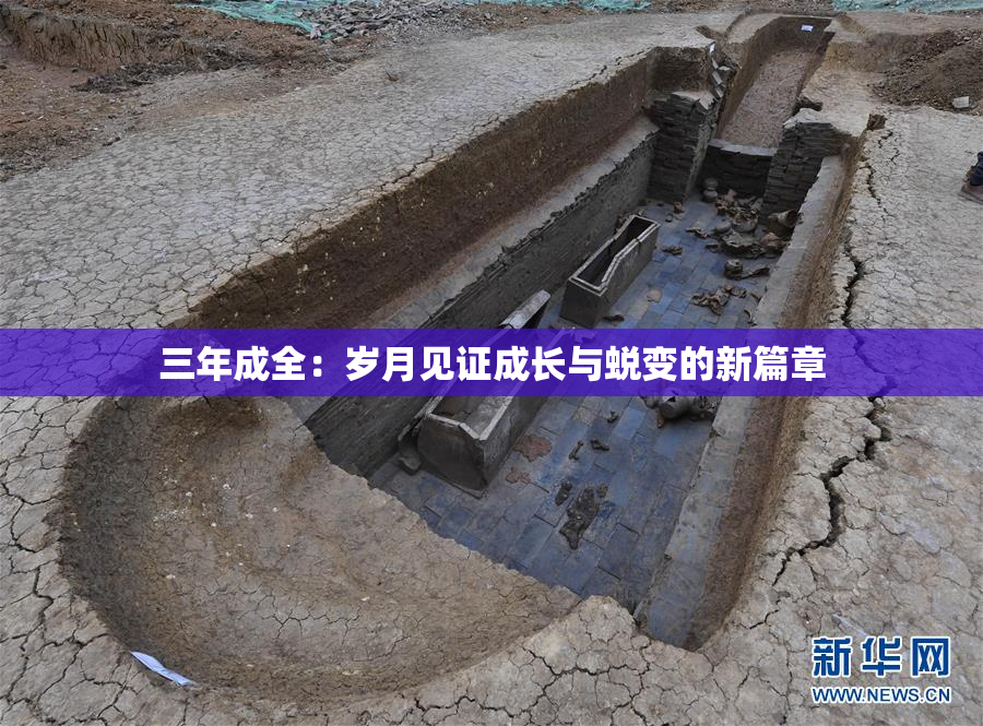 三年成全：岁月见证成长与蜕变的新篇章