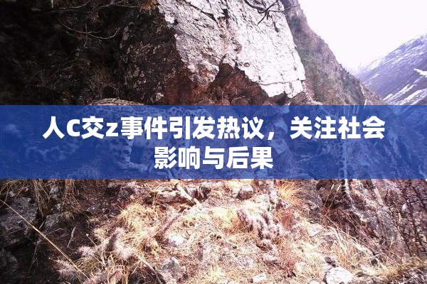 人C交z事件引发热议，关注社会影响与后果