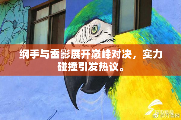 纲手与雷影展开巅峰对决，实力碰撞引发热议。