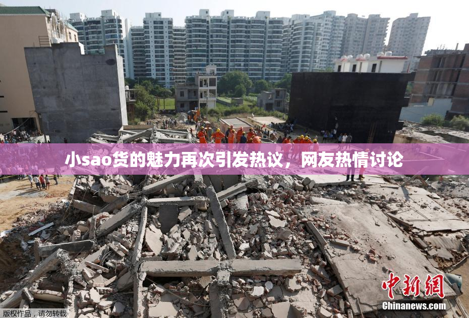 小sao货的魅力再次引发热议，网友热情讨论