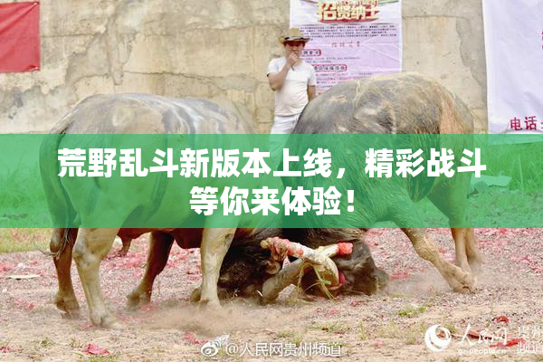 荒野乱斗新版本上线，精彩战斗等你来体验！