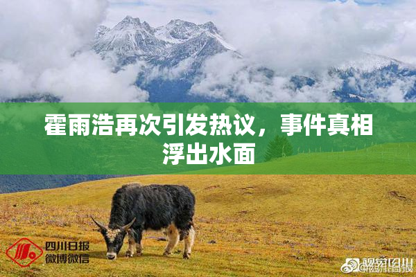 霍雨浩再次引发热议，事件真相浮出水面