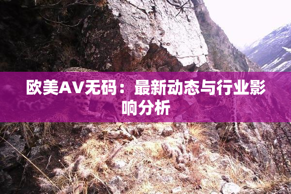 欧美AV无码：最新动态与行业影响分析