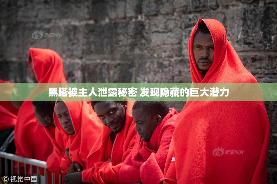 黑塔被主人泄露秘密 发现隐藏的巨大潜力