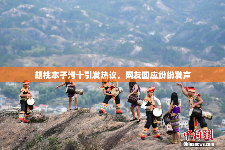 胡桃本子污十引发热议，网友回应纷纷发声