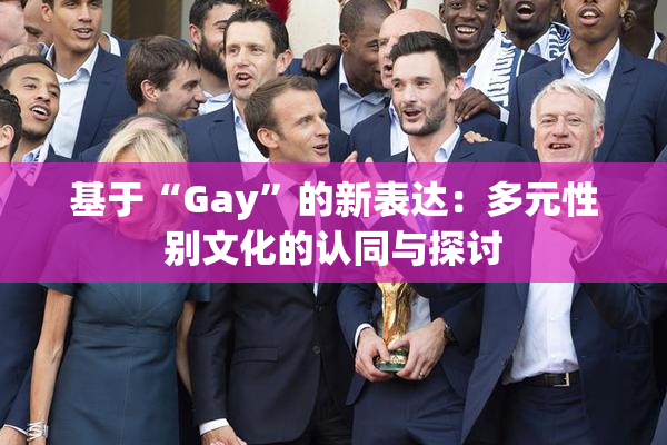 基于“Gay”的新表达：多元性别文化的认同与探讨