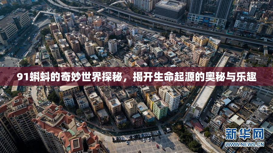 91蝌蚪的奇妙世界探秘，揭开生命起源的奥秘与乐趣