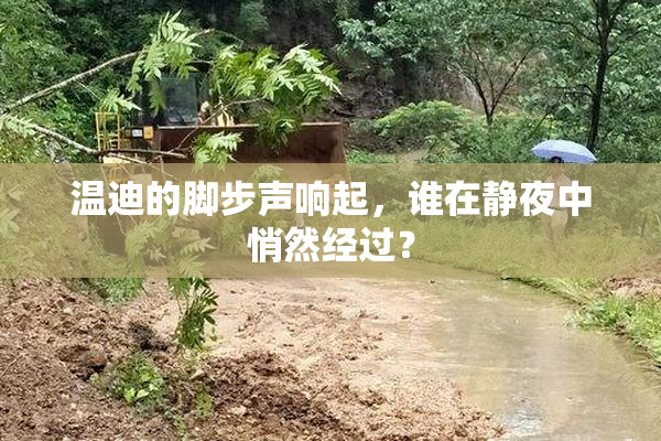 温迪的脚步声响起，谁在静夜中悄然经过？