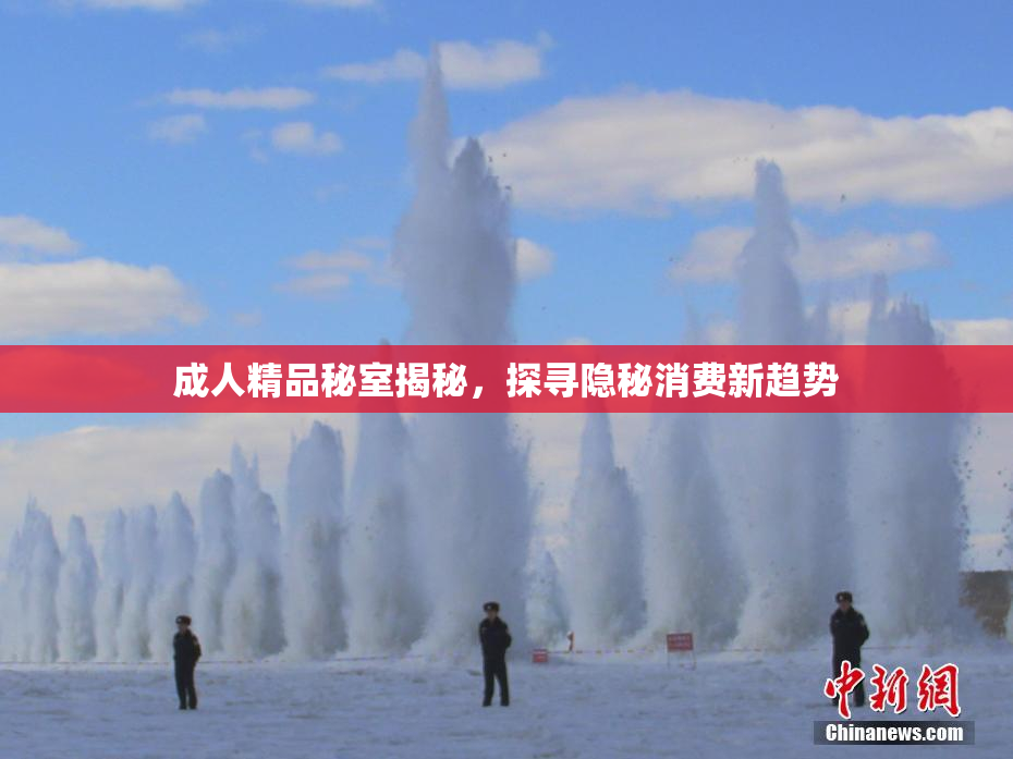 成人精品秘室揭秘，探寻隐秘消费新趋势