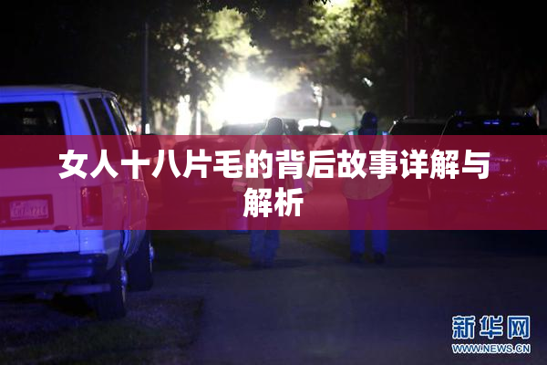 女人十八片毛的背后故事详解与解析