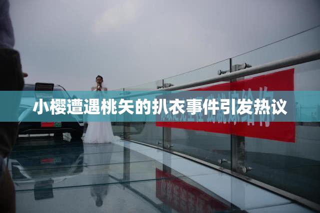小樱遭遇桃矢的扒衣事件引发热议