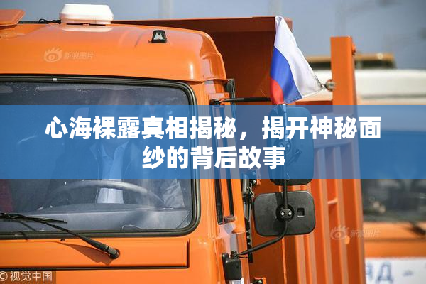心海裸露真相揭秘，揭开神秘面纱的背后故事