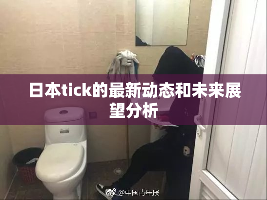 日本tick的最新动态和未来展望分析