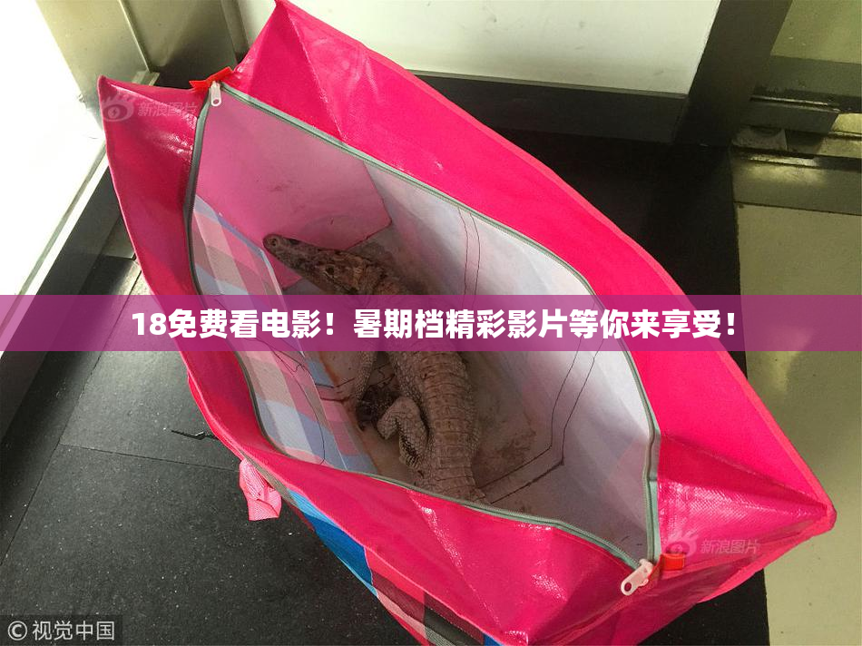 18免费看电影！暑期档精彩影片等你来享受！