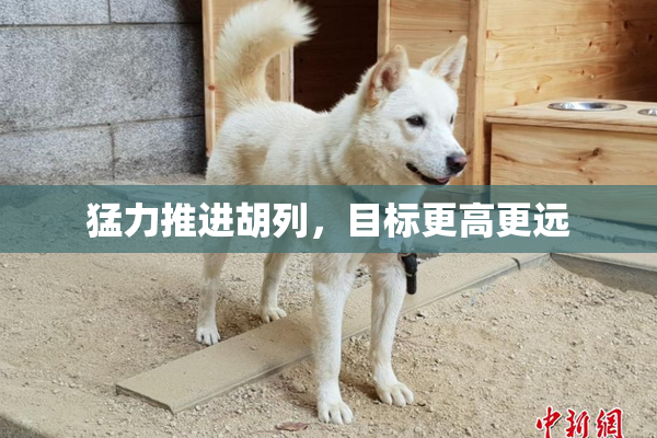 猛力推进胡列，目标更高更远