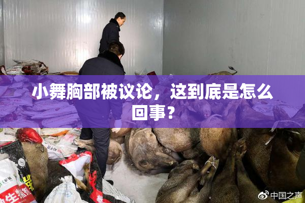小舞胸部被议论，这到底是怎么回事？