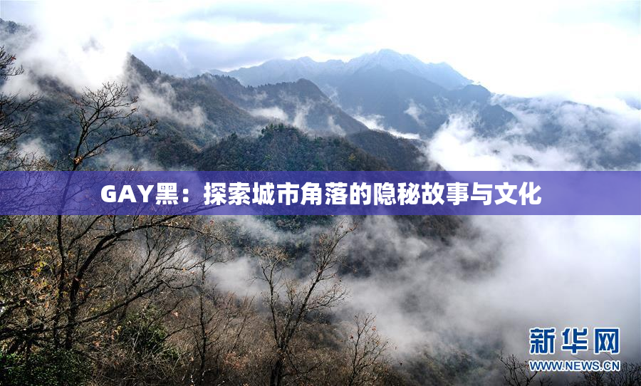 GAY黑：探索城市角落的隐秘故事与文化