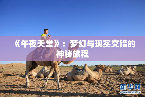 《午夜天堂》：梦幻与现实交错的神秘旅程