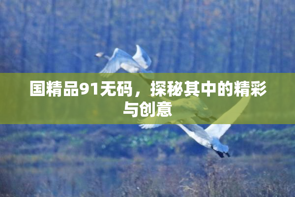 国精品91无码，探秘其中的精彩与创意
