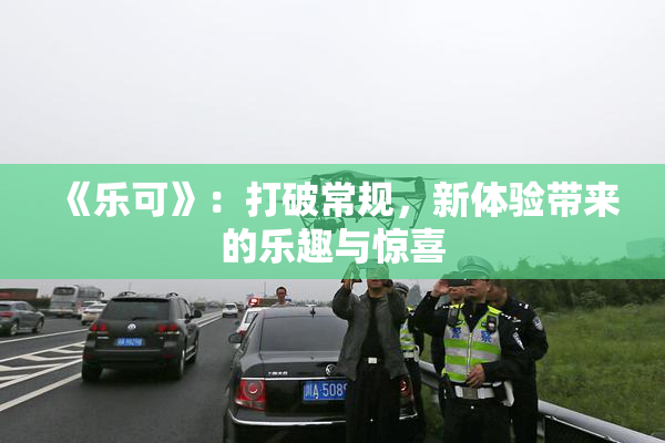 《乐可》：打破常规，新体验带来的乐趣与惊喜