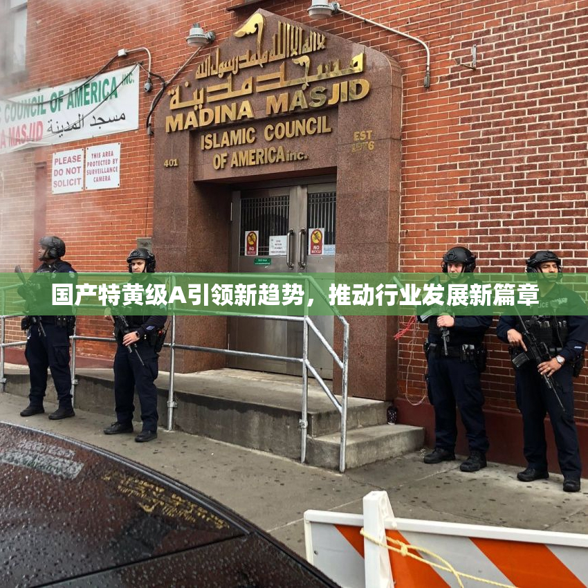国产特黄级A引领新趋势，推动行业发展新篇章