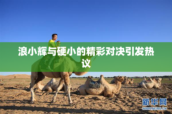 浪小辉与硬小的精彩对决引发热议