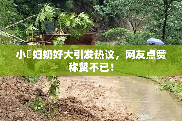 小婬妇奶好大引发热议，网友点赞称赞不已！