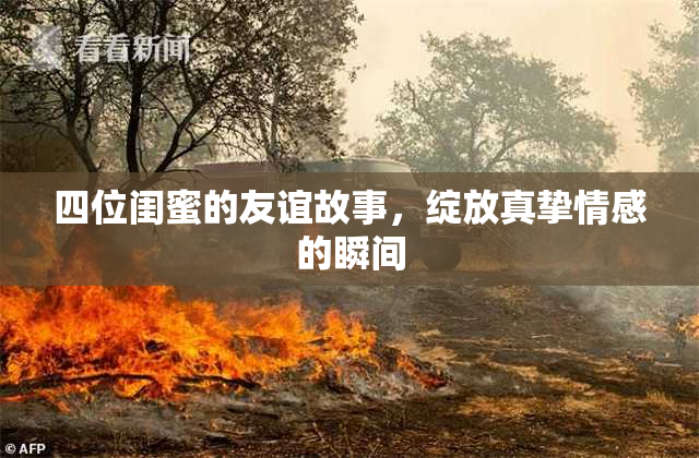 四位闺蜜的友谊故事，绽放真挚情感的瞬间